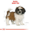 Royal Canin Shih Tzu Puppy 1.5 Kg - Imagen 2