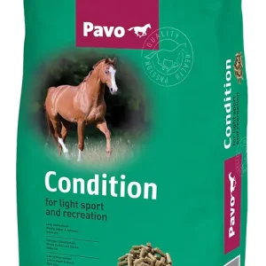 pavo condition caballos horse food